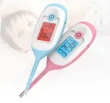 Digital Thermometer
